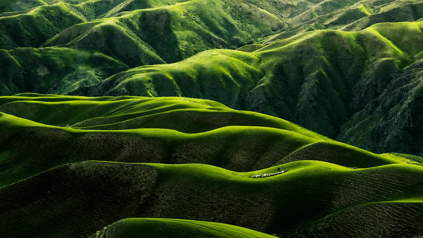Mountain panorama